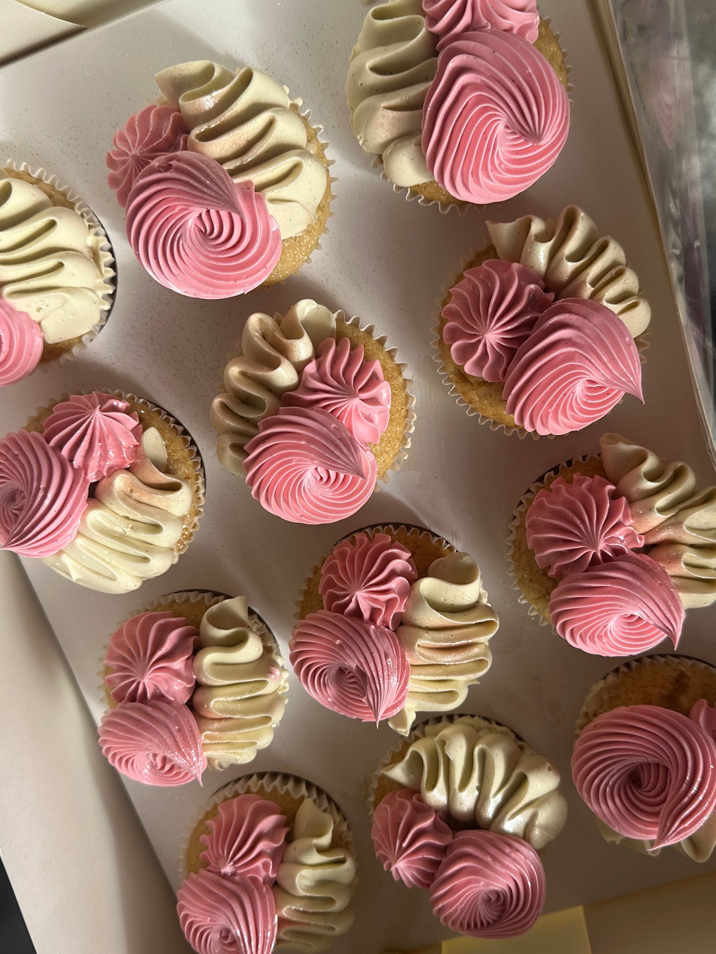 it’s giving signature JJBB 🩷 cuppies