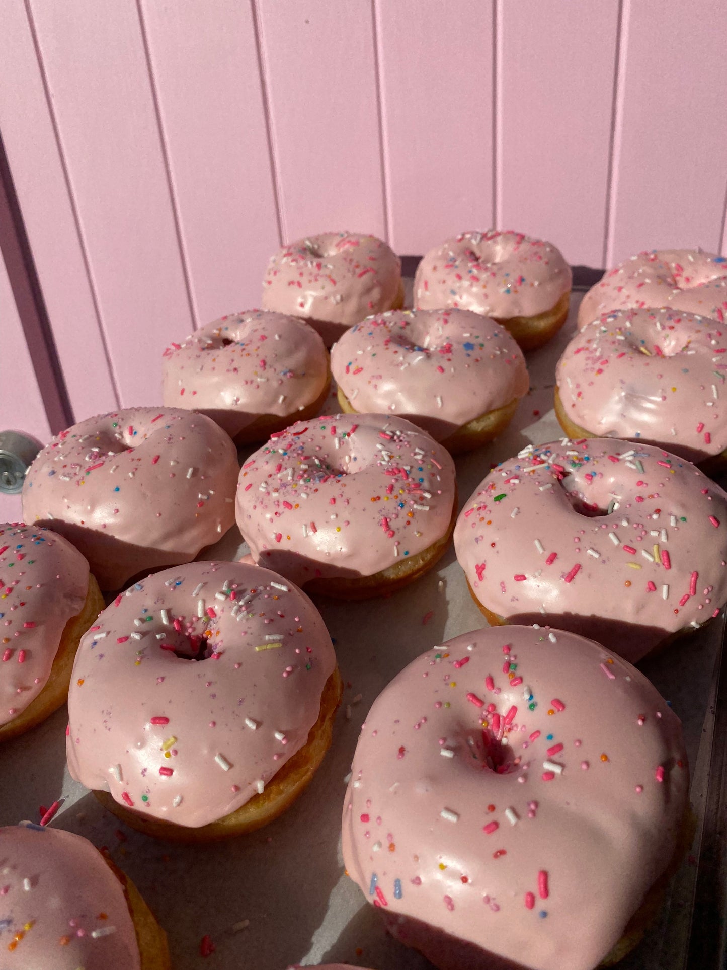 cinnis & pink roundies (6, 12 or 24)